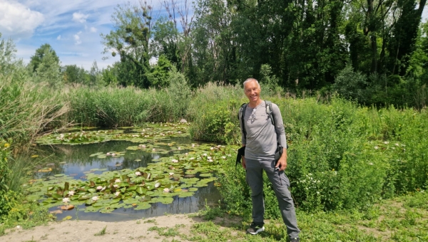 Les libellules se plaisent en Valais 